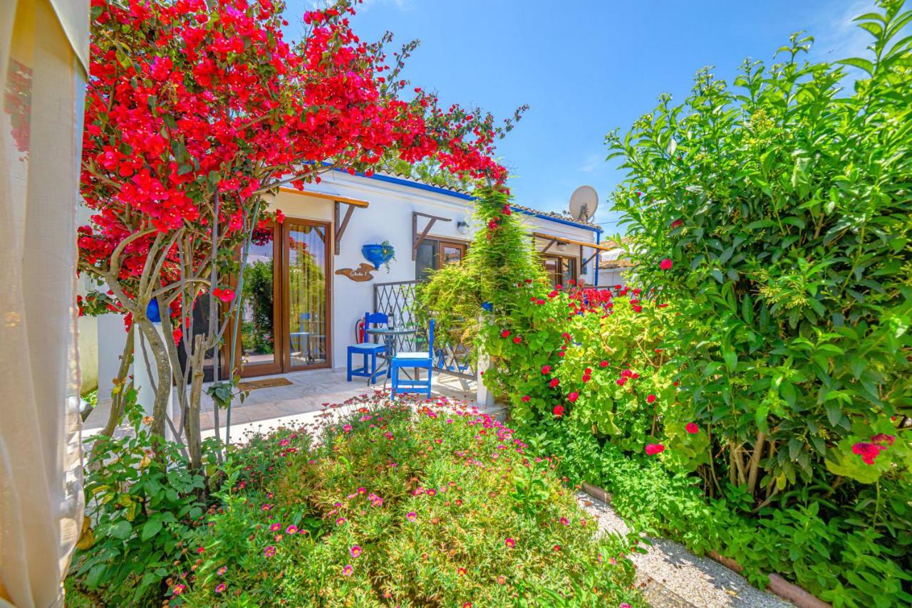 Elena's Seaside & Appartement